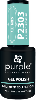 Purple Professional Gel Polish All I Need Is Fortune 10ml (P2303)