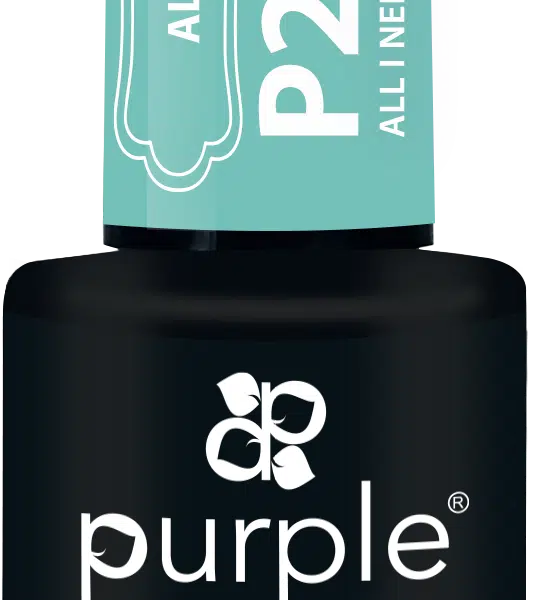 Purple Professional Gel Polish All I Need Is Fortune 10ml (P2303)
