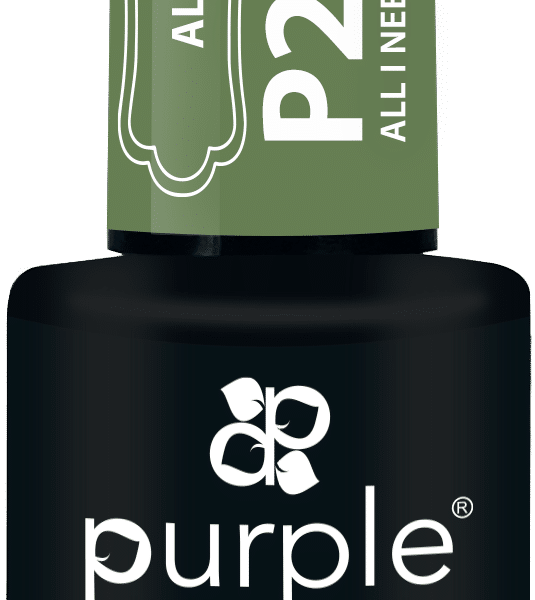 Purple Professional Gel Polish All I Need Is Love 10ml (P2299)