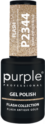 Purple Professional Gel Polish Flash Collection Kit