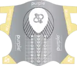 Purple Professional Sjablonen Master Box 100st.