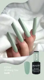 Purple Professional Gel Polish Wishing You Luck 10ml (P2308)