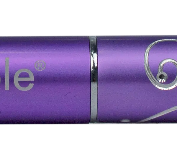 Purple Professional Nylon Round Blur Brush (metalen handle) (P578)