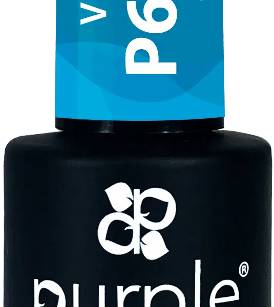 Purple Professiona Vitral Gel Arya 10ml (P6003)