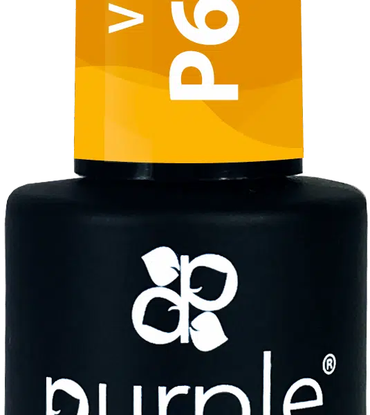 Purple Professiona Vitral Gel Kaya 10ml (P6005)