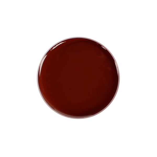 Purple Professional Gel Design "Brown" 5gr.