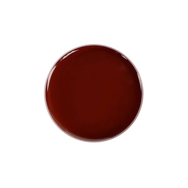 Purple Professional Gel Design "Brown" 5gr.