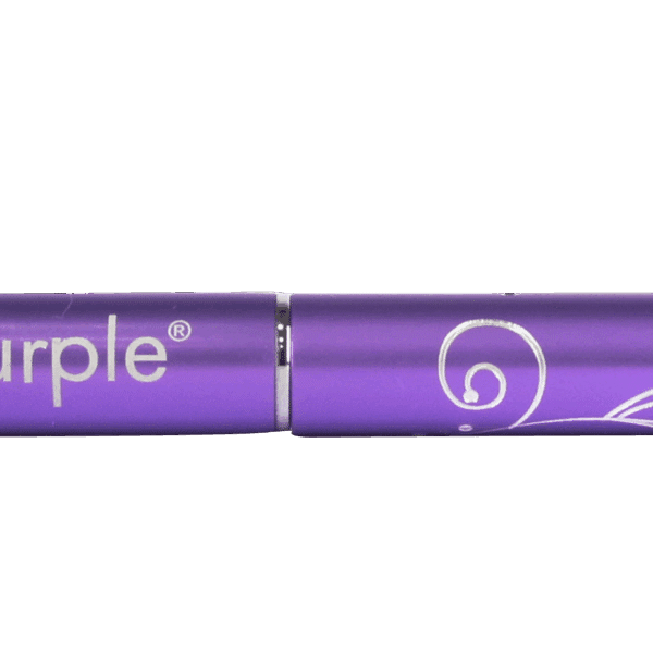 Purple Professional Nylon One Stroke Penseel XS 3mm/4mm (metalen handle) (P770)