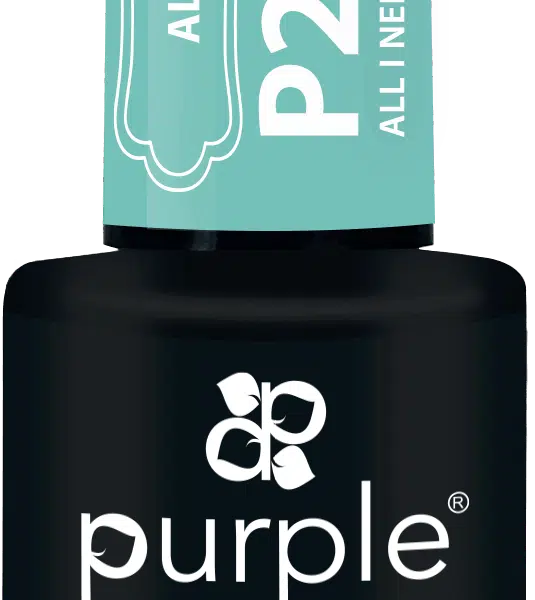 Purple Professional Gel Polish All I Need Is Fortune 10ml (P2303)