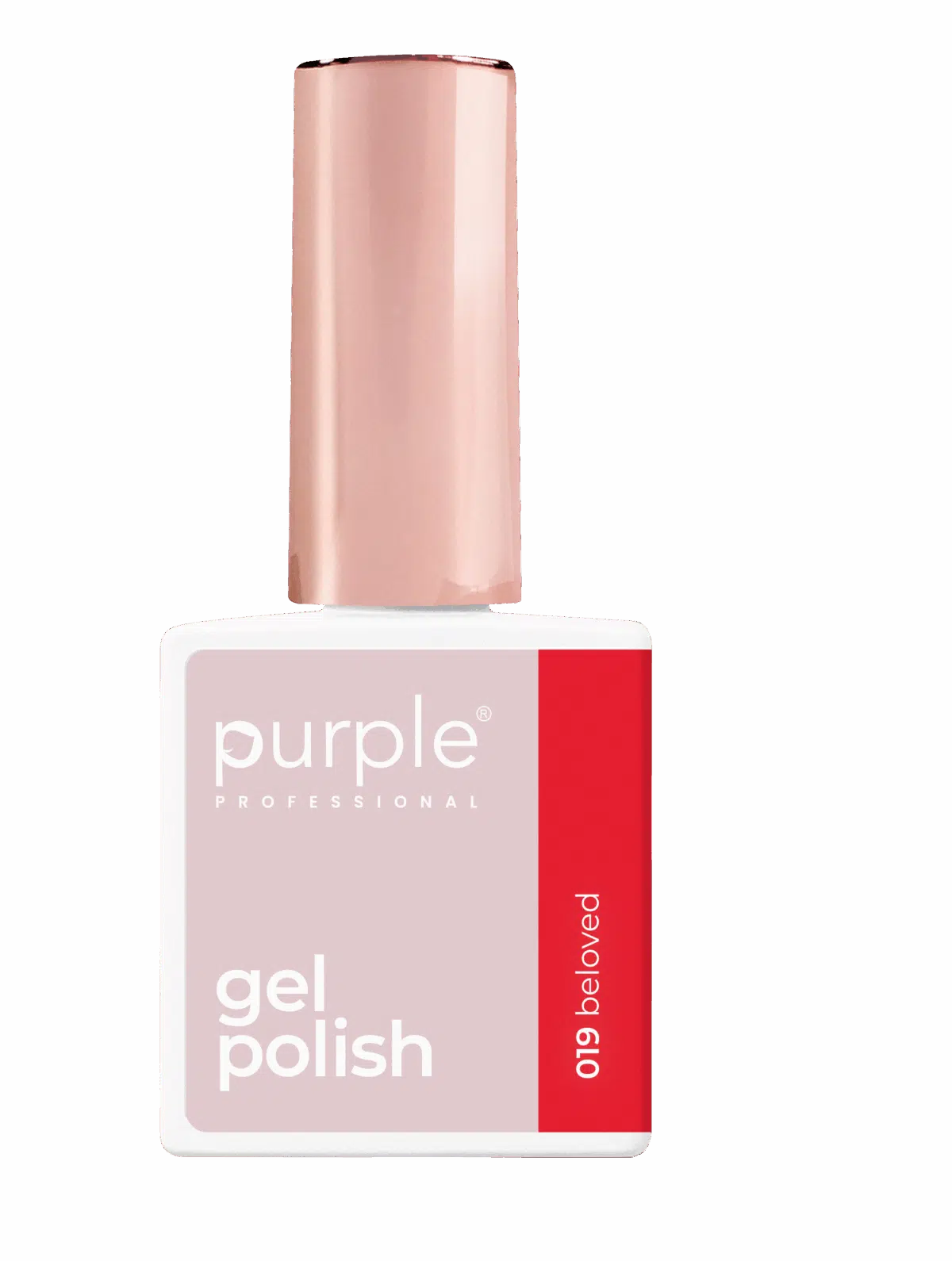 Purple Professional Kit Gel Polish 6 - P.019/P.020/P.021/P.022/P.023/P.024 (P.KIT6)