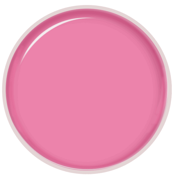 Purple Professional Gelart Pink 5G (P1708)