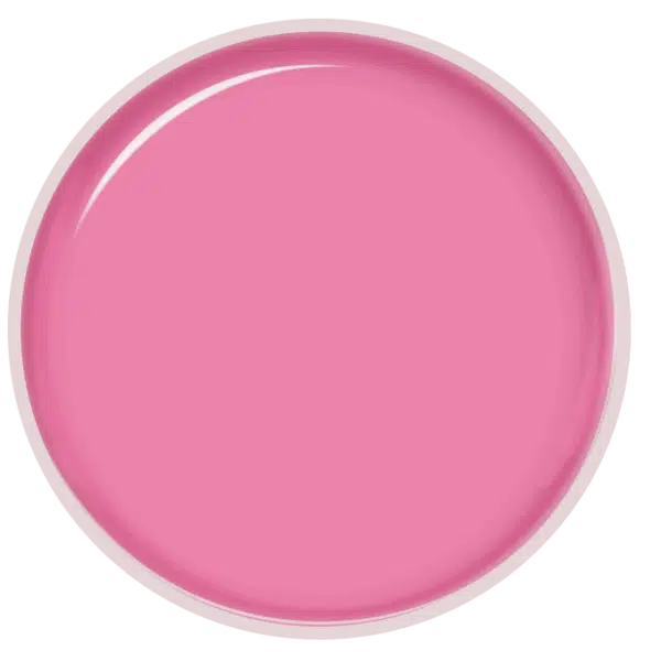 Purple Professional Gelart Pink 5G (P1708)