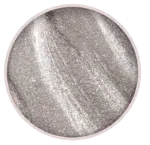 Purple Professional Gelart Silver 5G (P1703)