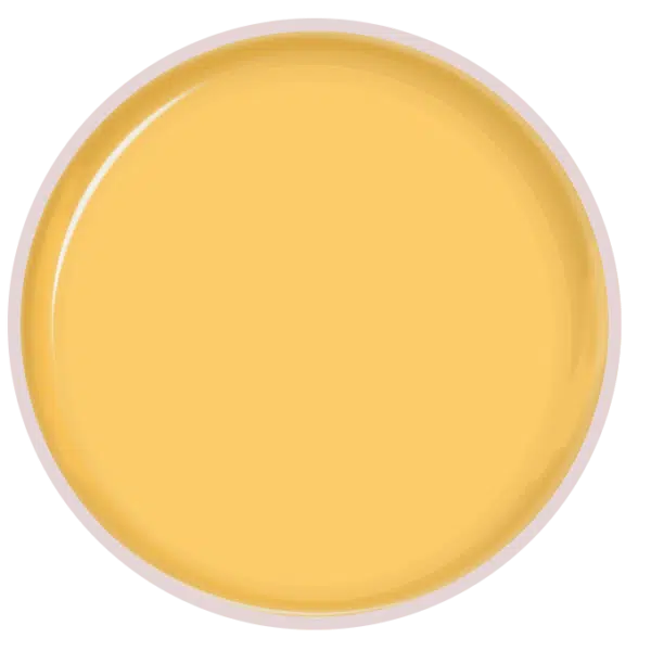 Purple Professional Gelart Yellow 5G (P1705)