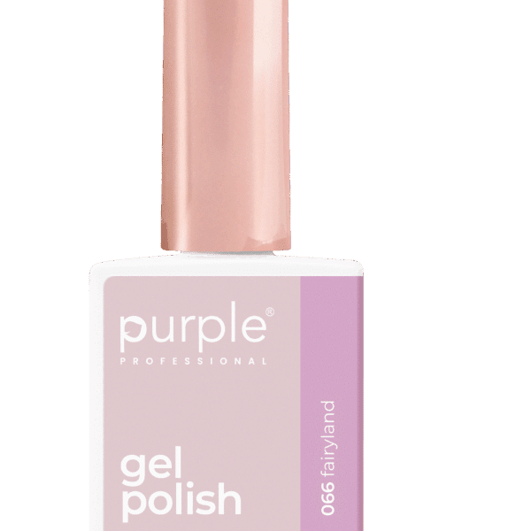 Purple Professional Gel Polish 066 Fairyland 10ml (P.066)