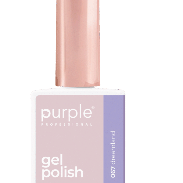 Purple Professional Gel Polish 067 Dreamland 10ml (P.067)