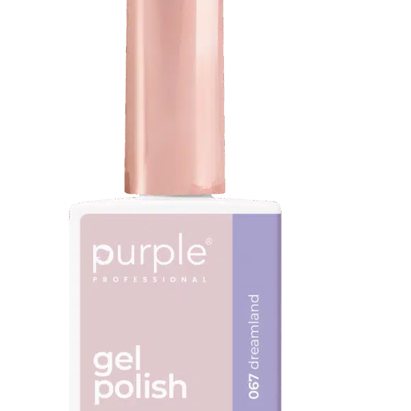 Purple Professional Gel Polish 067 Dreamland 10ml (P.067)