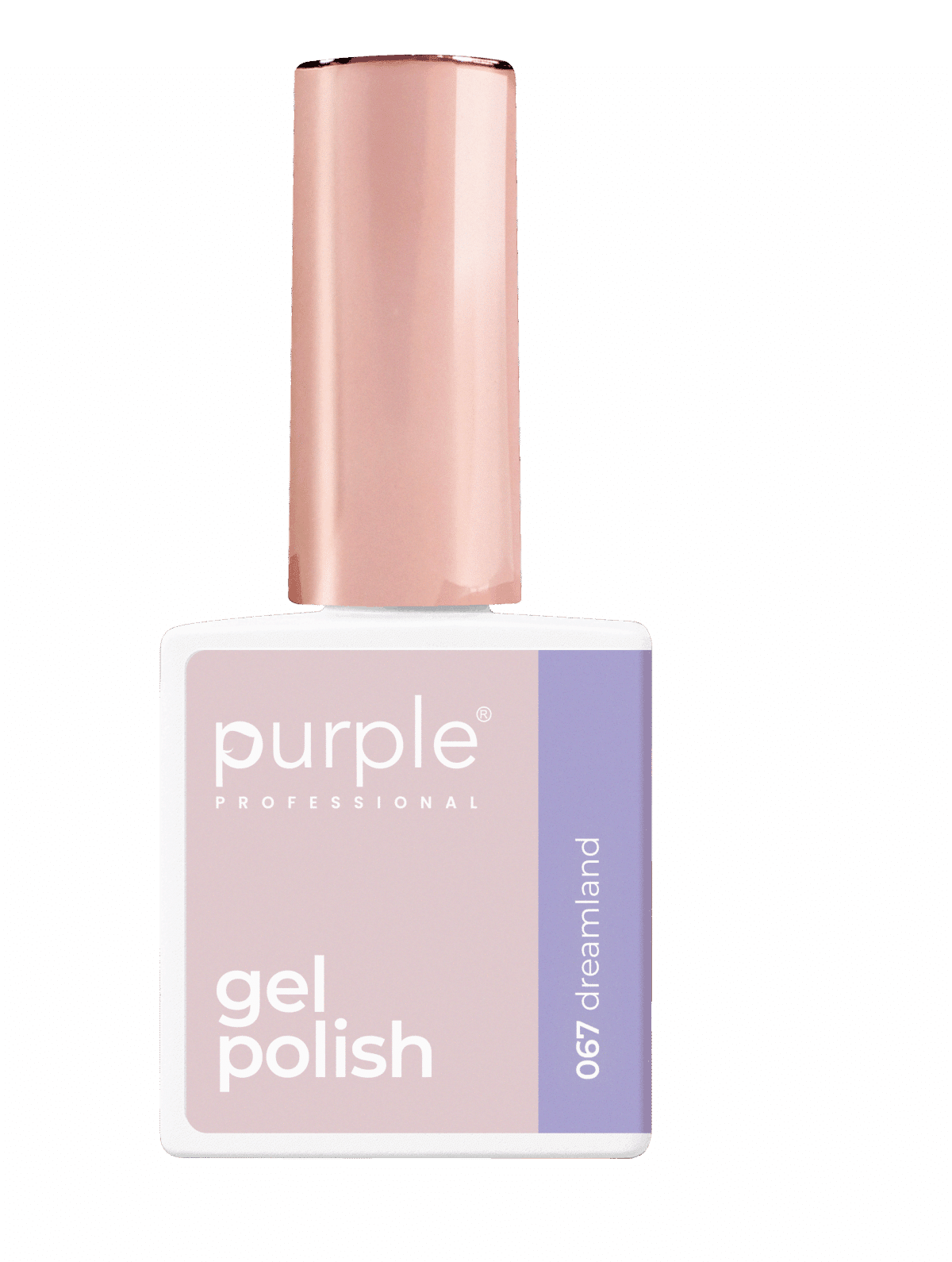 Purple Professional Kit Gel Polish 11 (P.KIT11)