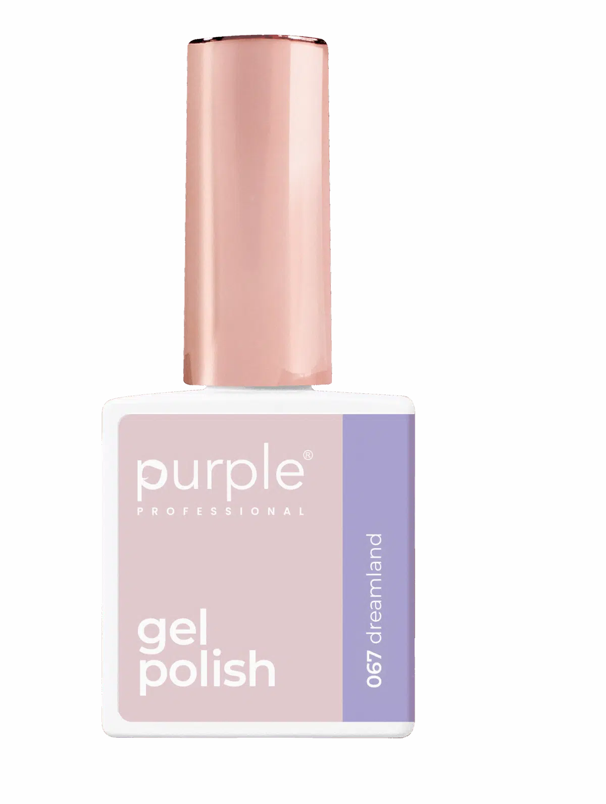 Purple Professional Kit Gel Polish 11 (P.KIT11)