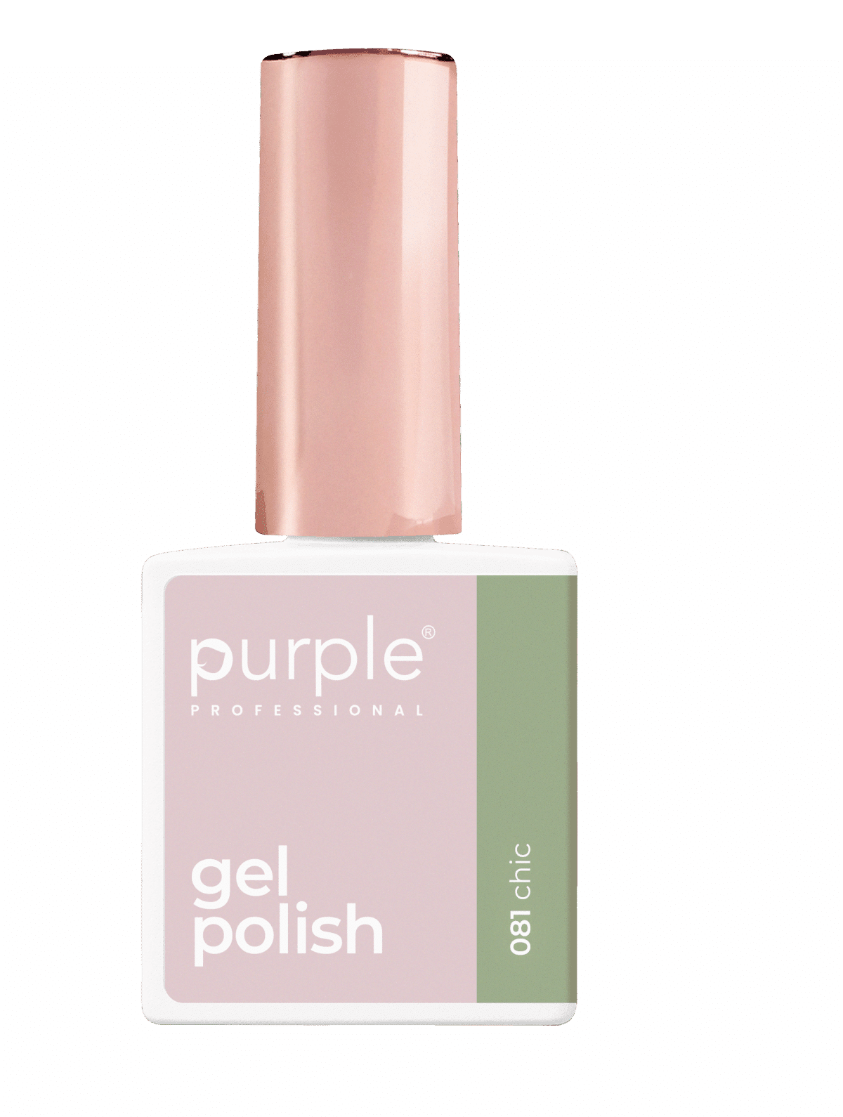 Purple Professional Kit Gel Polish 11 (P.KIT11)