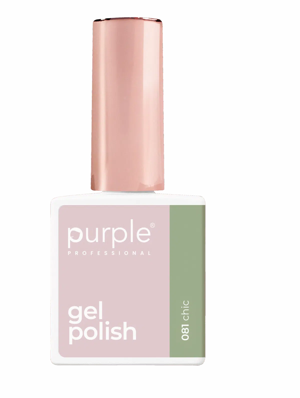 Purple Professional Kit Gel Polish 11 (P.KIT11)